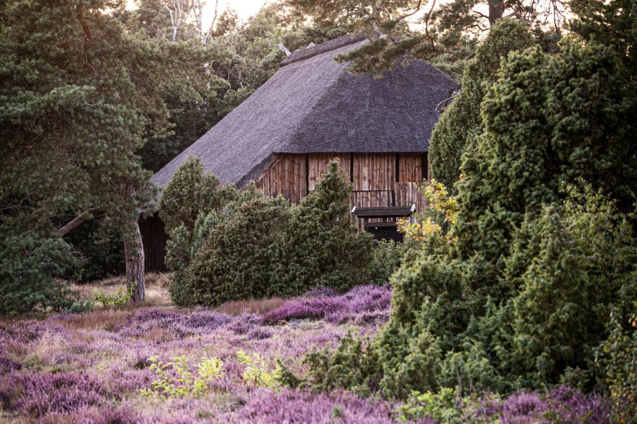 Mcdreyer Ferienwohnung Dedelstorf Exterior photo